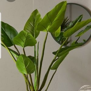 Meet your Posher, Karla